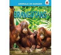 Orangutans - Animals In Danger