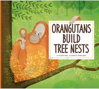 Orangutans Build Tree Nests : Animal Builders