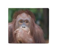 Orangutans Posting Thinking Men Wallet Leather Bifold Wallets with Window Slim Minimalist Front Pocket
