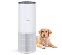 ORB 2-in-1 Air Purifier & Humidifier Combo for Bedroom - True HEPA Filter, Quiet, Auto Mode, No Mist, Removes Dust Smoke Odors Pet Dander, Top Fill, Covers 500 Sq Ft