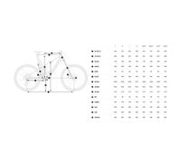 Orbea Wild M-team 29´´ Xt M8260 Sgs 2026 Mtb Electric Bike Brown S / 750Wh S Caramel Carbon View Gloss / Cream White Matt