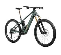 Orbea Wild M10 Seaweed Carbon Matt