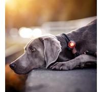 ORBILOC Dog Dual Safety Light