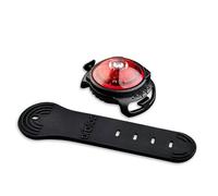 Orbiloc Dog Dual LED Light for Dogs