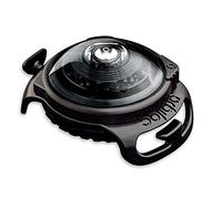 Orbiloc Men Dog Dual Flashing Solid Safety LED Light Up High Visibility Durable Water Proof Impact Resistant Attach to Harnesses & Collars, Dark, One Size