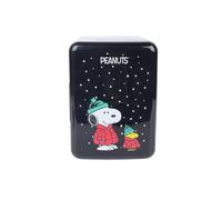 Orbit Innovations Peanuts Mini Fridge, Small Cooler for Drinks and Snacks, or Skin Care Refrigerator, Christmas Gifts (6 Cans, Snoopy Puffer)