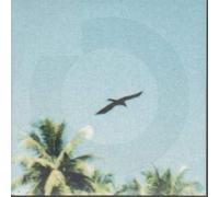 Orbital - Beached / Doctor Look Out