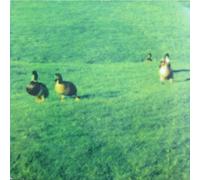 Orbital - Nothing Left [12" VINYL]