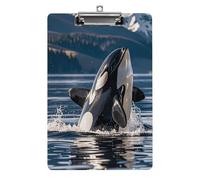 Orca Killer Whale Clipboard,Decorative Clip Board Acrylic Clipboards with Low Profile Metal Clip for Office,Teachers,Standard Letter Size 8.5x12.5