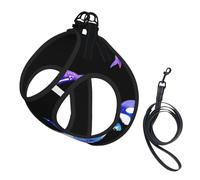Orca Killer Whale Print Harness Leash Set For Cats And Dogs, Reflective Adjustable, Soft Breathable Mesh Vest With Escape-Proof Lead, For Small Pets And Kitten Puppies