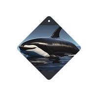 Orca Killer Whale Print Printing 10 Pcs Air Freshener Cards,Car Scented Hanging Sheets Air Freshener Set For Car Decoration