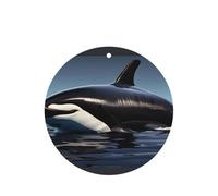 Orca Killer Whale Print Printing 10 Pcs Air Freshener Cards,Car Scented Hanging Sheets Air Freshener Set For Car Decoration
