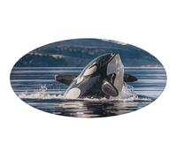Orca Killer Whale Round Area Rug Non Slip Backing Doormat Water Absorbent Plush Throw Low-Pile Non-Slip Floor Mat Carpet for Living Room Bedroom Entryway Nursery Room 80 * 80cm