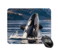 Orca Killer Whale Square Mouse Pads Non-Slip Rubber Base Mouse Mat Cute Mousepad Funny Computer Desk Accessories for Office Home Gaming Work 20 * 25cm