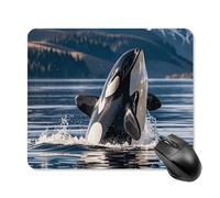 Orca Killer Whale Square Mouse Pads Non-Slip Rubber Base Mouse Mat Cute Mousepad Funny Computer Desk Accessories for Office Home Gaming Work 25 * 30cm