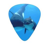 Orca Killer Whales Guitar Pick 12 Packs For Bass Electric Acoustic Guitar Unique Gift For Music Lover