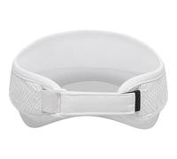 Orca Visor
