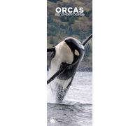 Orcas 2026 Wall Calendar, 12-Month Slim Format, Made in England