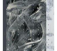 Orcas - How to Color a Thousand Mistakes