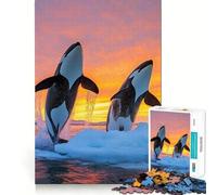 Orcas Jumping at Sunset in Icy Waters for Adults 1000 Piece Puzzle Mind Challenge Toy Calm Escape Quality Cut Art Collection Piece (38x52cm)