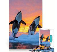 Orcas Jumping at Sunset in Icy Waters Jigsaw Puzzles for Adults1000 Piece Strengthen Memory Home Activity Clean Edge Festive Gift (50x75cm)