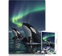 Orcas Under The Aurora Borealis Jigsaw Puzzle 1000 Cognitive Development Fun Game Special Thoughtful Celebration Present Size 38x26cm
