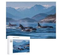Orcas Whales Play in The Ocean Puzzles Customized Challenging Gifts for Adults 300/500/1000 Piece