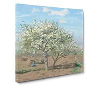Orchard In Bloom by Camille Pissarro Canvas Print | Gallery Wrapped 30mm Frame Wall Art | 20x20 inches | Ready to Hang | Impressionist Picture | Living Room Bedroom Lounge Office