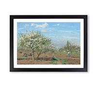 Orchard in Bloom by Camille Pissarro Framed Print | A2 Black Framed Wall Art | Ready to Hang | Modern Nature Picture | Living Room Bedroom Lounge Office