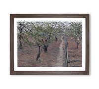 Orchard In Bloom By Gustave Caillebotte Classic Painting Framed Print | A3 Walnut Framed Wall Art | Ready to Hang | Classic Historical Picture | Living Room Bedroom Lounge Office