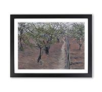 Orchard In Bloom By Gustave Caillebotte Classic Painting Framed Print | A4 Black Framed Wall Art | Ready to Hang | Classic Historical Picture | Living Room Bedroom Lounge Office