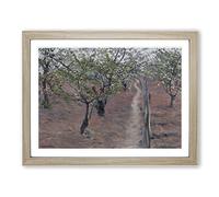 Orchard In Bloom By Gustave Caillebotte Classic Painting Framed Print | A4 Oak Framed Wall Art | Ready to Hang | Classic Historical Picture | Living Room Bedroom Lounge Office