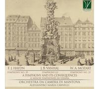 Orchestra Da Camera Di Mantova - A Symphony and Its Consequences