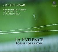 Orchestre De Picardie Arie Van Beek - Orchestre De Picardie Arie Van Beek - La Patience