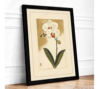 Orchid and Insect Japandi Framed Wall Art Print A2 (59.4×42cm) Black, Wall Decor for Living Room, Bedroom, Office & Home, Ready to Hang, Art Gift