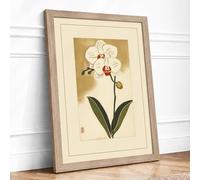Orchid and Insect Japandi Framed Wall Art Print A2 (59.4×42cm) Oak, Wall Decor for Living Room, Bedroom, Office & Home, Ready to Hang, Art Gift