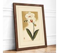 Orchid and Insect Japandi Framed Wall Art Print A2 (59.4×42cm) Walnut, Wall Decor for Living Room, Bedroom, Office & Home, Ready to Hang, Art Gift