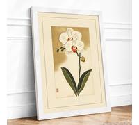 Orchid and Insect Japandi Framed Wall Art Print A2 (59.4×42cm) White, Wall Decor for Living Room, Bedroom, Office & Home, Ready to Hang, Art Gift
