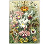 Orchid - Art Forms Of Nature, Vintage Art Poster, Ernst Haeckel - Premium 500 pieces Puzzle - MyPuzzle special collection from Havana Puzzle Company