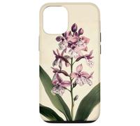 Orchid Floral Vintage Scientific Illustration Flower Case for iPhone 12/12 Pro