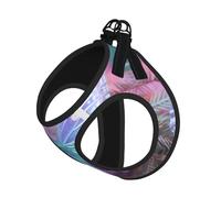 Orchid Flower Butterfly Soft Fresh Spring Print Pet Leash Vest Soft Adjustable Step in Puppy Vest Outdoor Walking with Leash