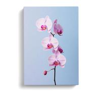 Orchid Flower Minimalism Canvas Print | Gallery Wrapped 30mm Frame Wall Art | 30x20 inches | Ready to Hang | Minimalist Floral Picture | Living Room Bedroom Lounge Office