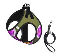 Orchid Flower Print Small Dog Harness with Leash Set, No Escape Easy Walk Puppy Harnesses for Training Walking