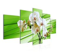 Runa Art Orchid Flowers Image Non-Woven 5 Pieces Abstract Green Bedroom Hall 202053c