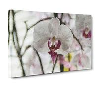 Orchid Flowers Vol.4 Canvas Print | Gallery Wrapped 30mm Frame Wall Art | 30x20 inches | Ready to Hang | Contemporary Floral Picture | Living Room Bedroom Lounge Office