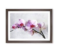 Orchid Flowers Vol.5 Painting Framed Print | A2 Walnut Framed Wall Art | Ready to Hang | Modern Floral Picture | Living Room Bedroom Lounge Office