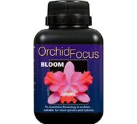 Orchid Focus Bloom 300ml - Prolong and Maximise Flowering in orchids all species and Hybrids