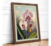 Orchid in Bloom Botanical Framed Wall Art Print A2 (59.4×42cm) Walnut, Wall Decor for Living Room, Bedroom, Office & Home, Ready to Hang, Art Gift