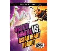 Orchid Mantis vs. Asian Giant Hornet (Animal Battles)