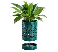 Orchid Pot 4 Inch with Holes,Ceramic Orchid Pot for Repotting with Saucers,More Ventilation Hole Easy Breathing,Plant Growth for Repotting Orchids and Other Flowers Indoor Outdoor (green)